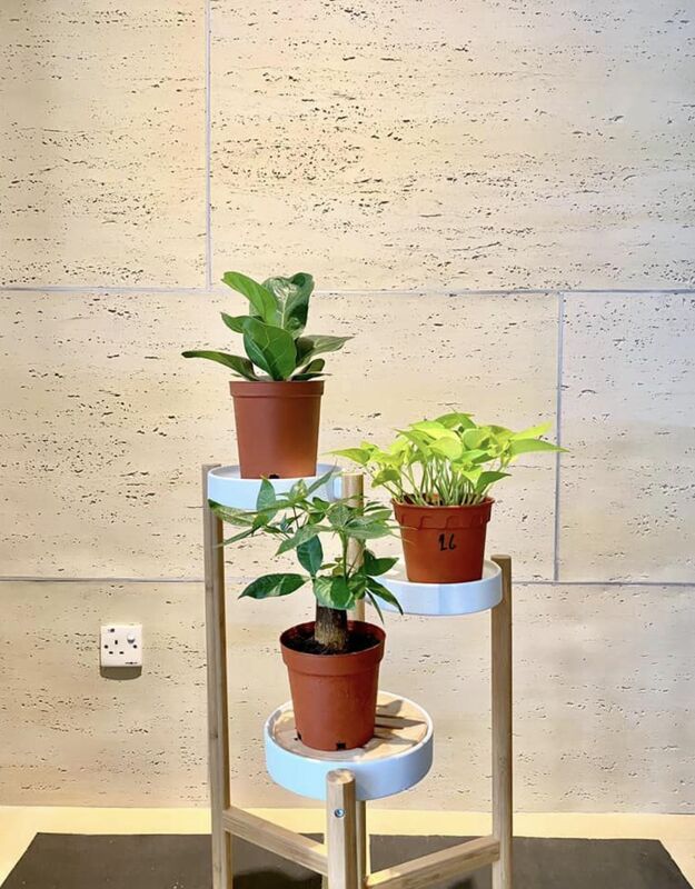 Esnek Travertine Yaprakları 3d Travertine Taş Paneli Esnek Kaplama Ms Travertine Esnek Dış Tuğlalar