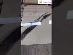 Bitmiş UV Mermer Yaprak Ekranı